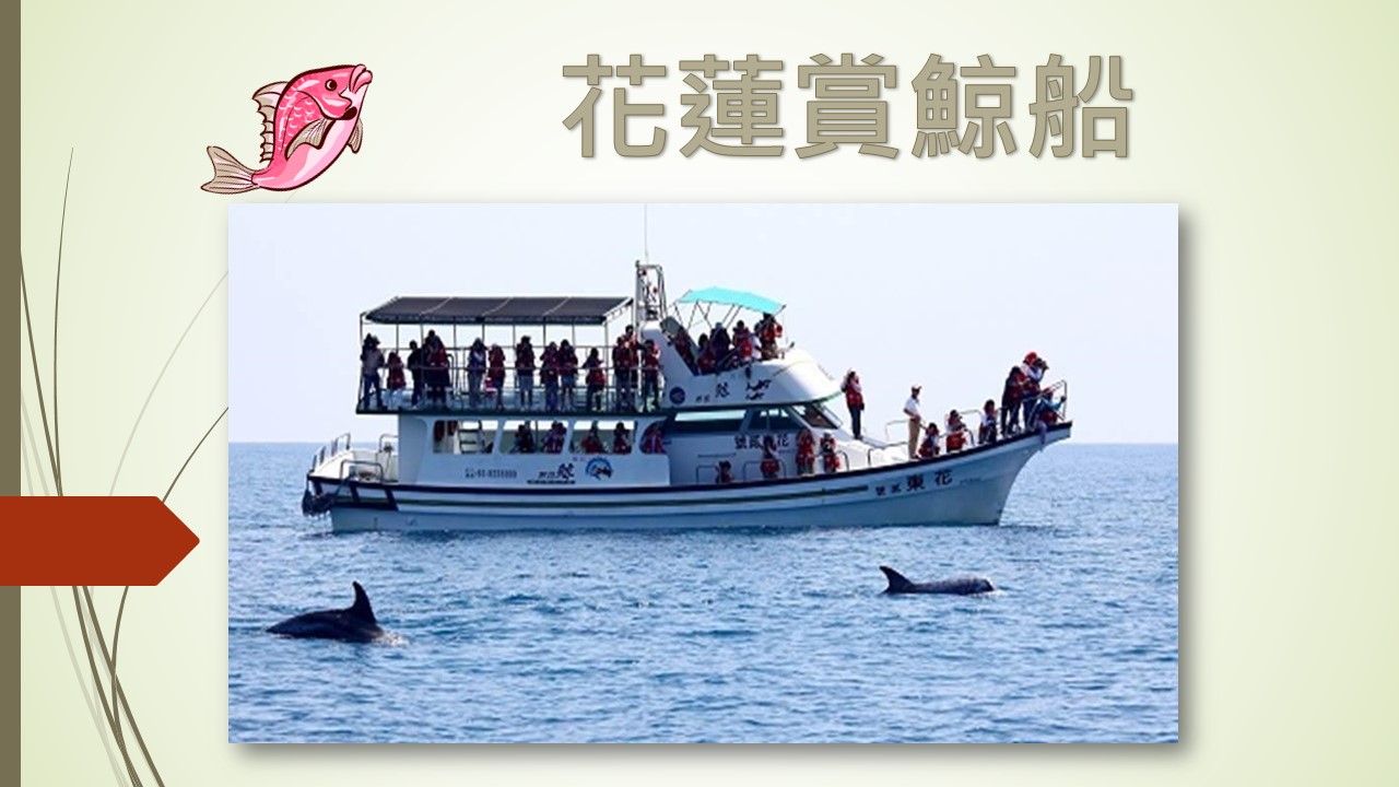 台湾包车旅游 花蓮賞鯨船